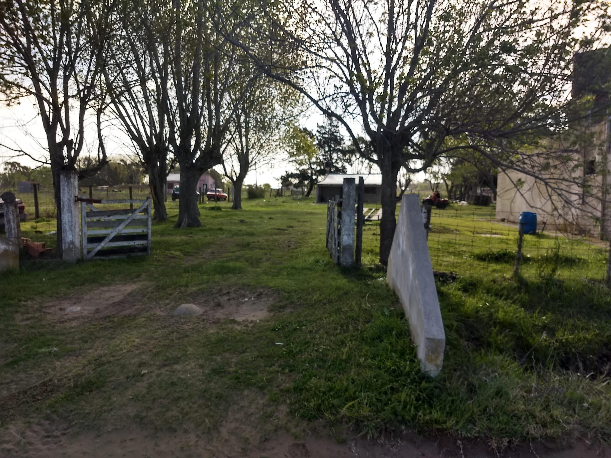 Propiedades en Paraje Pavón