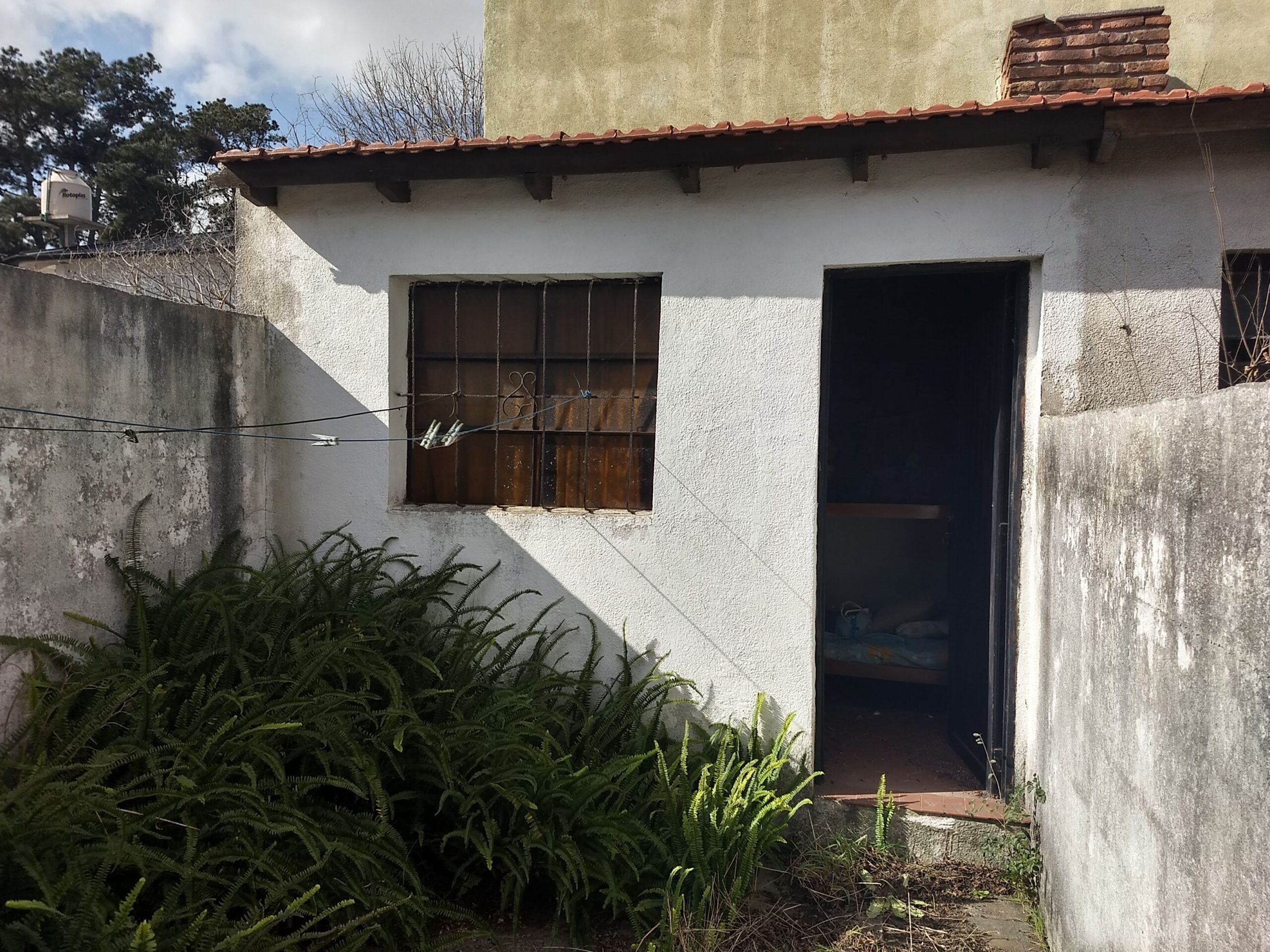 Foto 2