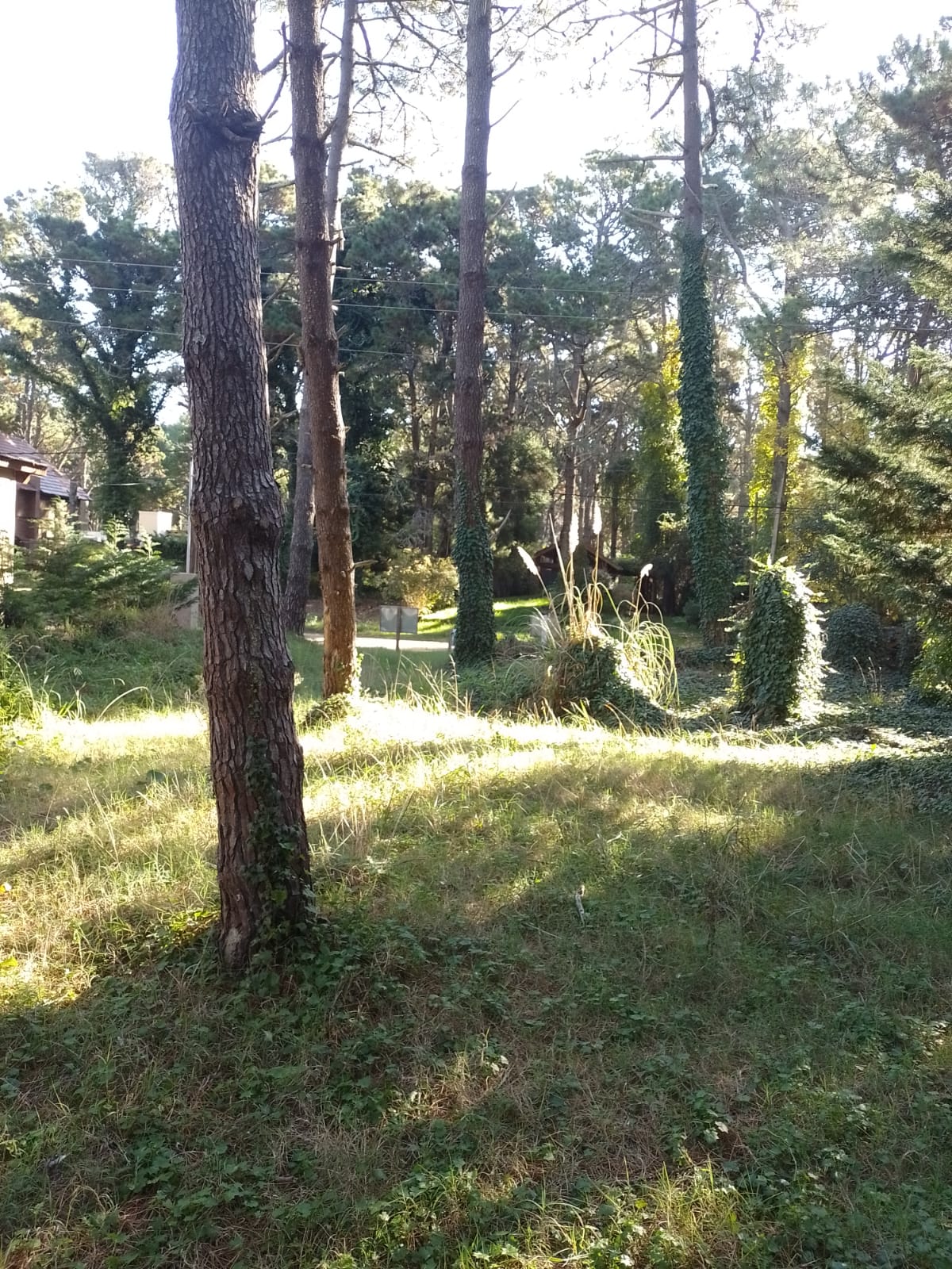 Retasado !!! VENTA DE LOTE EN COSTA DEL ESTE