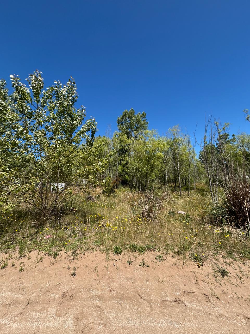 Lotes- Venta- San Bernardo- Bº Escurra Medrano