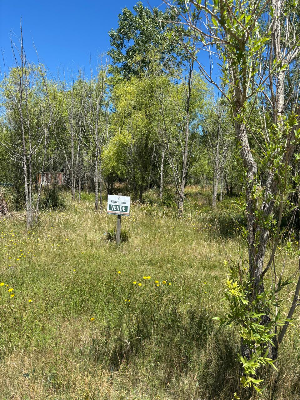 Lotes Venta Bº Escurra Medrano, San Bernardo