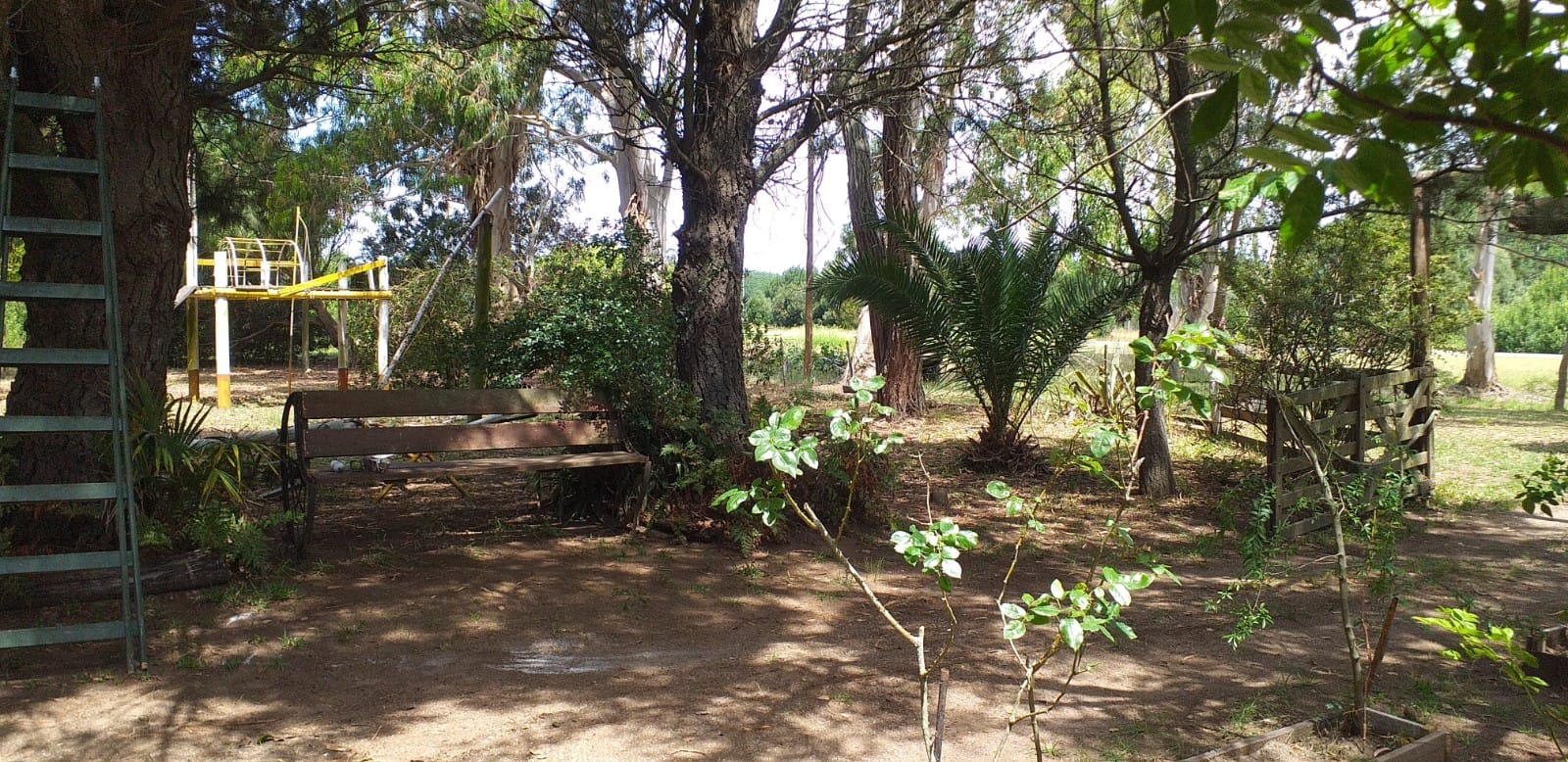 Foto 3