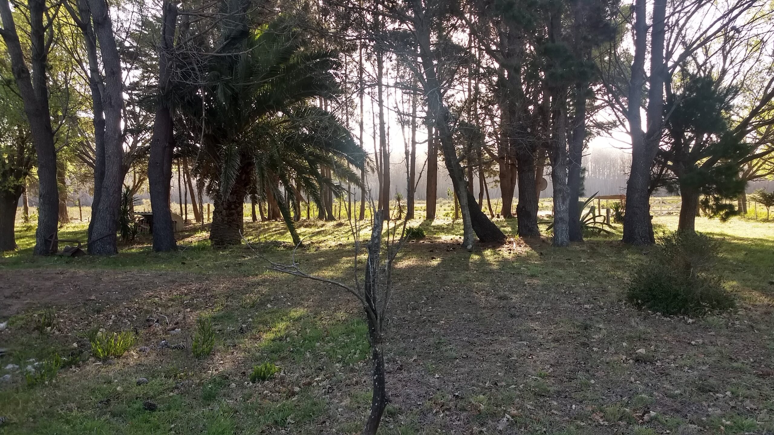 RETASADA 1 Hectárea con vivienda en Paraje Pavón