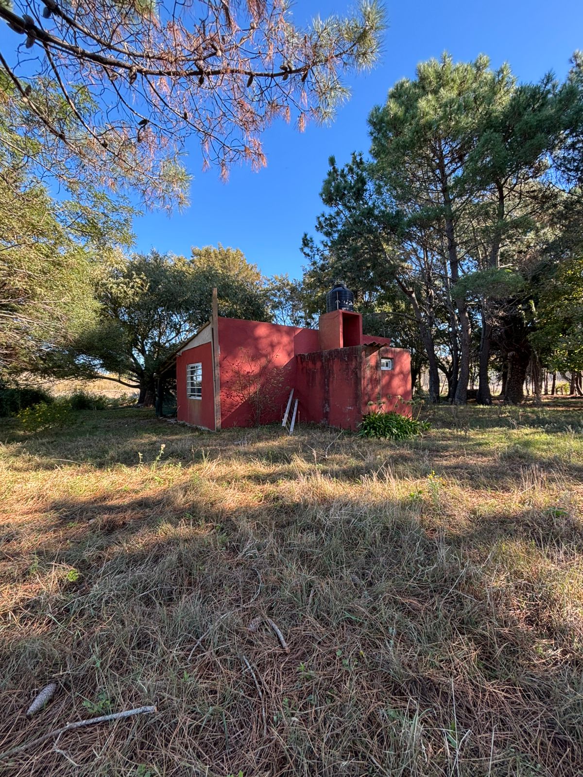 Hectárea en Venta con Vivienda y Gran Arboleda en Paraje Pavón