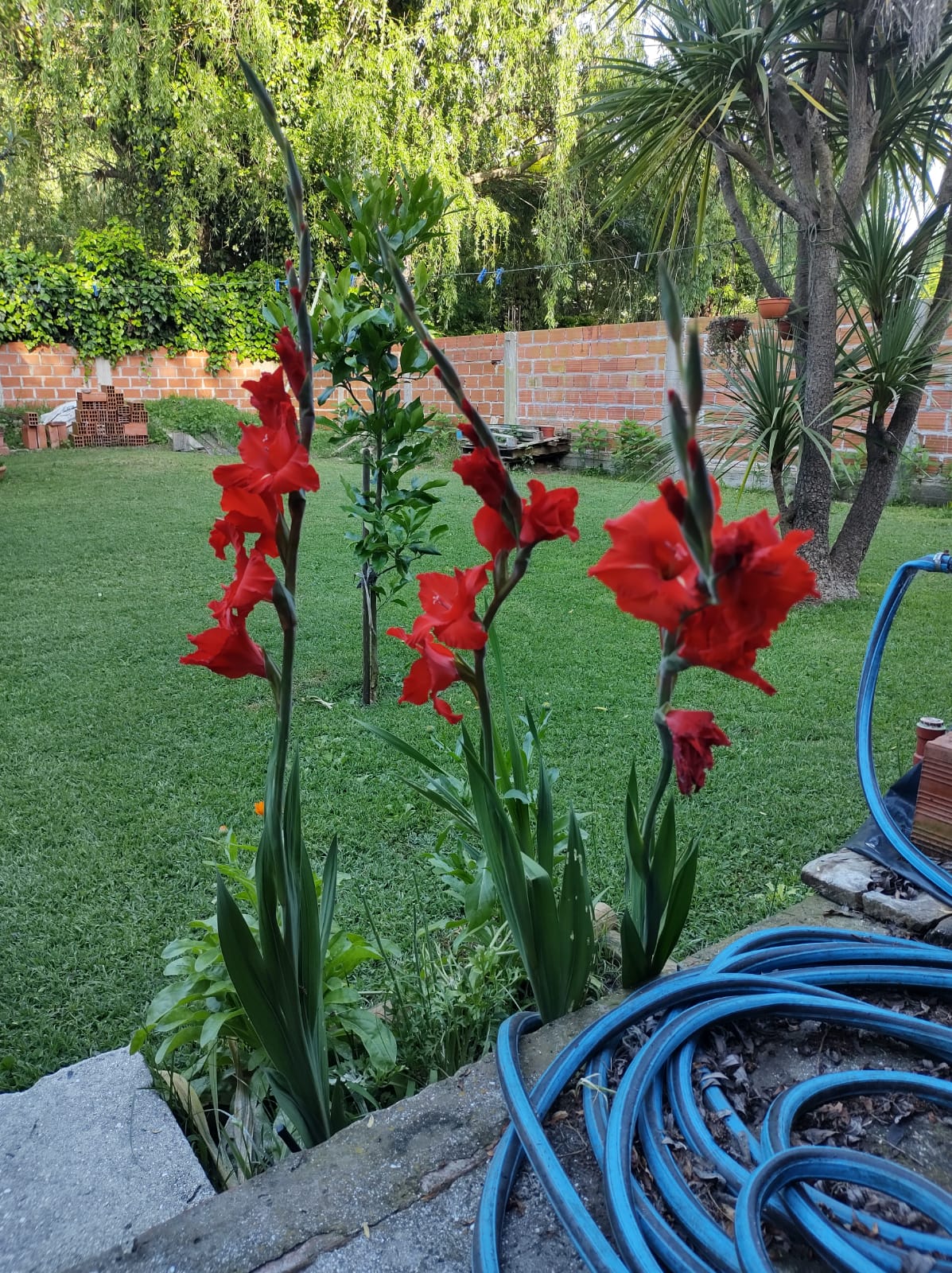Foto 2