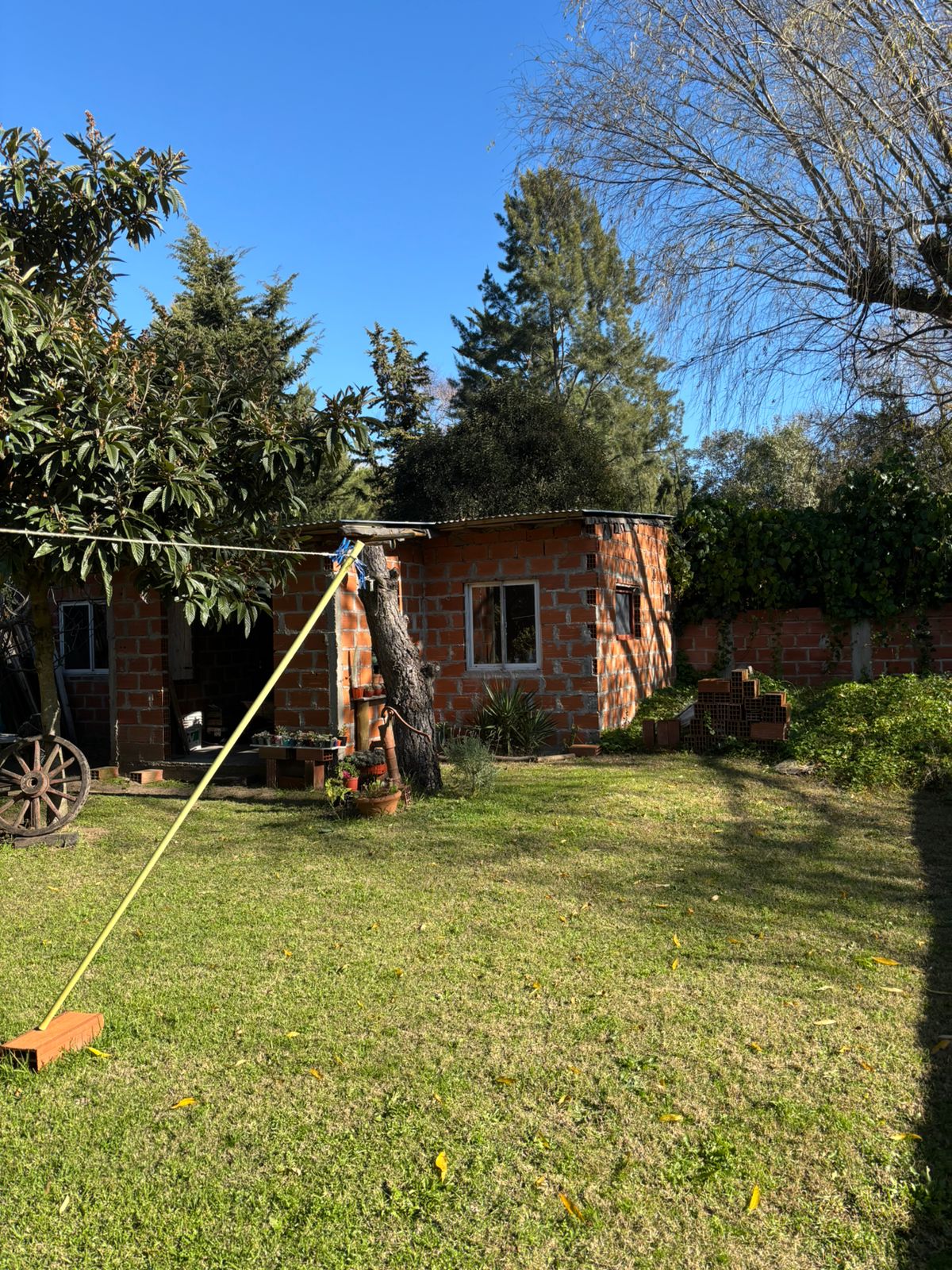Foto 3